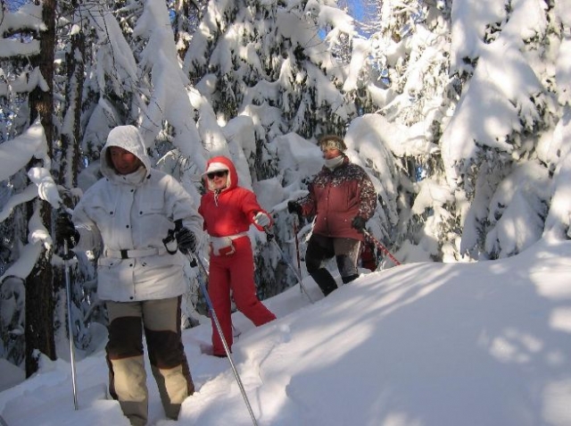  萨瓦和雪鞋有雪